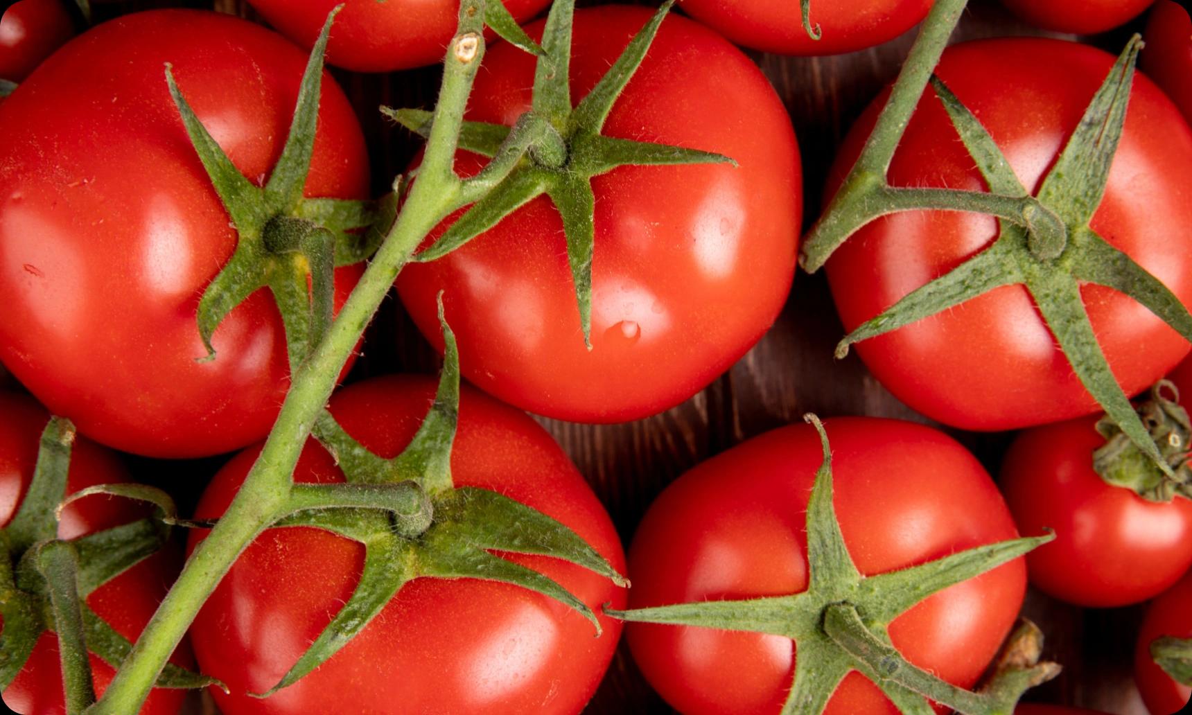 Glycemic Index of Tomato overview image